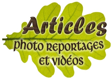Page Articles et Photos Reportages